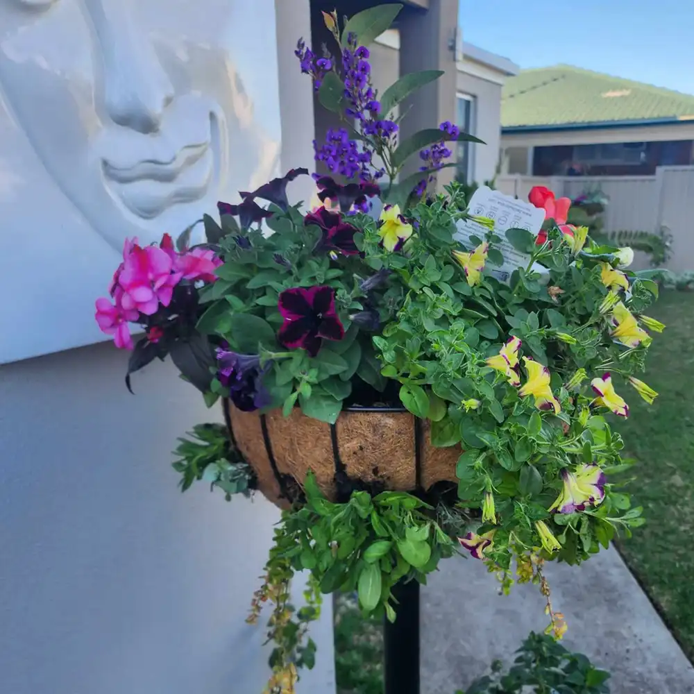 photo of flowers in a vertical garden kit