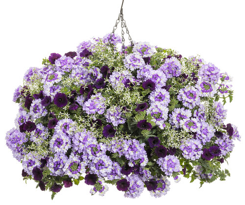 flower tower midnight sparkles basket