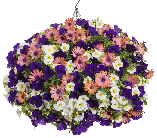 flower tower radiant rose basket